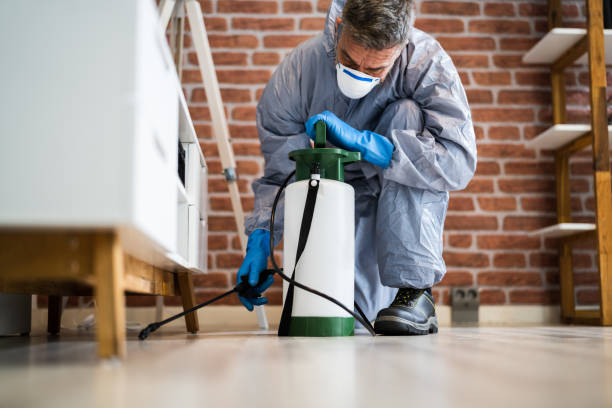 Best Commercial Pest Control  in Antigo, WI